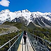 See the South Island