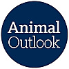 Animal Outlook Blog