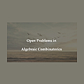 Open Problems In Algebraic Combinatorics