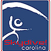 Skydive Carolina Blog