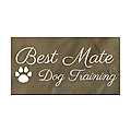 Best Mate Dog Training Blog