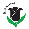 Black Tulip Flowers Blog
