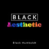 Black Aesthetic