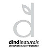 Dindi Naturals Blog