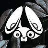 Stereofox Music Blog