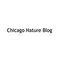 Chicago Nature Blog
