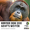Hinter dem Zoo geht's weiter - Der Naturschutzpodcast aus Frankfurt