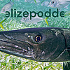 Belizepodden