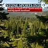 Stone Sports Index