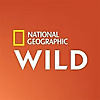 NatGeoWild