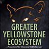 Greater Yellowstone Ecosystem