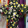 Bridgeport United Church of Christ Blog