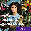 &Iacute;slenska mannfl&oacute;ran