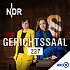 Gerichtssaal 237. True Crime aus dem Strafgericht