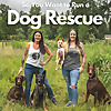 So You Want to Run a Dog Rescue