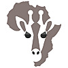 AfricanFinancials Investor Relations Blog