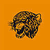 Hull City News