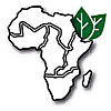 KCOA Africa Blog