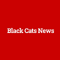 Black Cats News
