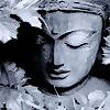 The Zen Mama's Blog