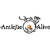 Antique Alive South Korea Blog