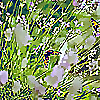 Well Space for Women Blog