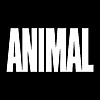 Animal Pak Blog » Fitness & Bodybuilding