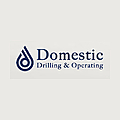 Domestic Operating Blog