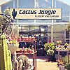 Cactus Jungle Blog