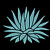 Ponderosa Cactus Blog