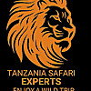 Tanzania Safari Blog