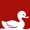 Feisty Duck