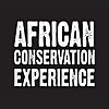 The African Conservation Experience Blog