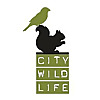 City Wildlife
