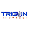 Trigun Infotech Blog
