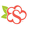 Visit Summerville SC Blog