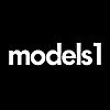 Models 1 Blog