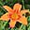Easter And Spring Poetry Blog » Christian Poetry