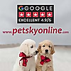 Pet Sky Blog