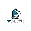 Puppify UAE Blog