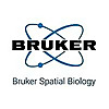Bruker Spatial Biology Blog