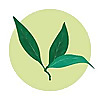 Pepperwood