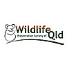 Wildlife Queensland » Latest news
