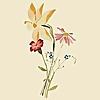 Topsham Homeopathic Practice Blog