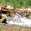 Clean Water Connections - Keep Black Hills Water Alive!