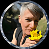 Conscious Quantum Energy Healing Blog
