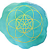 Nourished Energy Blog