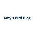 Amy's Bird Blog