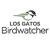 Los Gatos Birdwatcher Blog