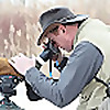 Birding Through Glass